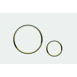 Optima Circle przycisk WC biały + złoty