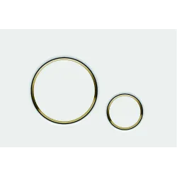 Optima Circle przycisk WC biały + złoty